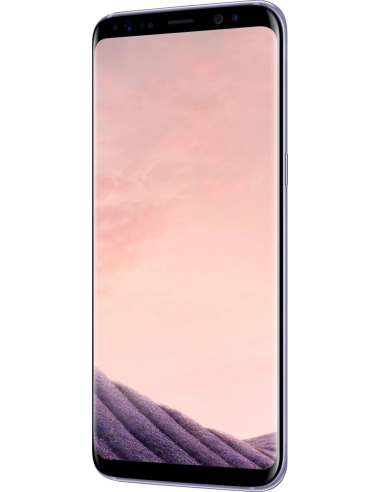 Samsung Galaxy S8 G950F Orchid Gray