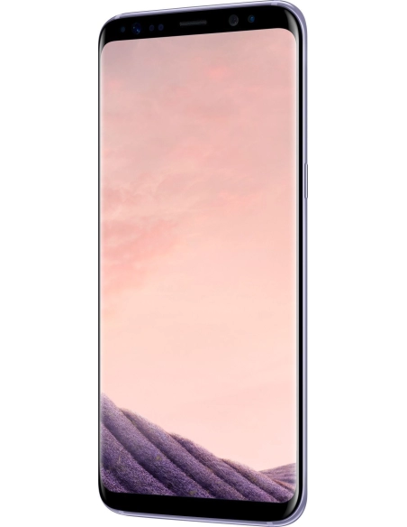 Samsung Galaxy S8 G950F Orchid Gray